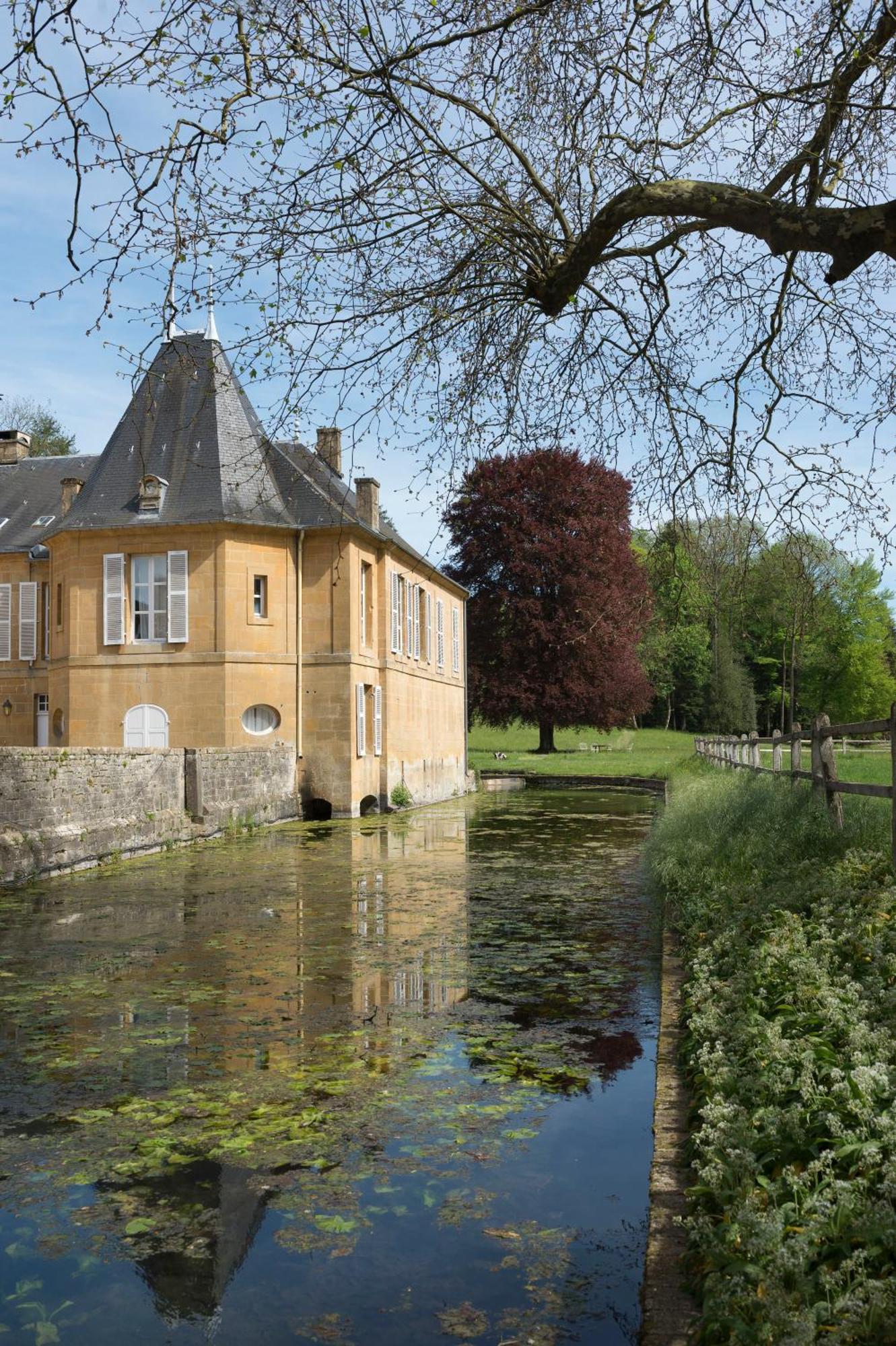 Bed and Breakfast Chateau De Martigny Colmey Экстерьер фото